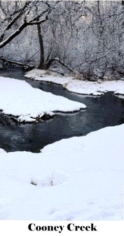 Cooney Creek in Winter